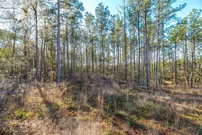 898 Taylor Lake Road, Livingston, TX 77351 - Photo 7