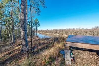 898 Taylor Lake Road, Livingston, TX 77351 - Photo 5