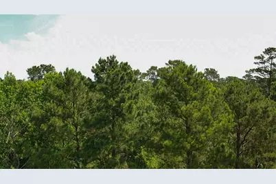 3B-15-22 Fire Sky Road, Huntsville, TX 77340 - Photo 9