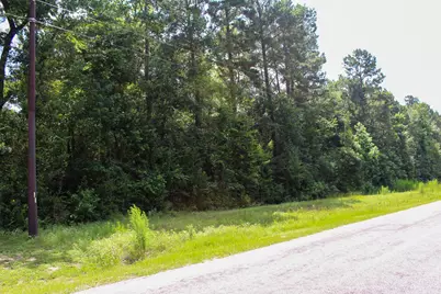 3B-15-22 Fire Sky Road, Huntsville, TX 77340 - Photo 5