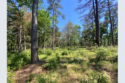 Lot 22 Pr 1313, Centerville, TX 75833 - Photo 33