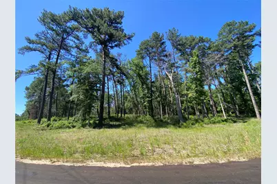 Lot 22 Pr 1313, Centerville, TX 75833 - Photo 23