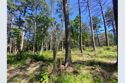 Lot 22 Pr 1313, Centerville, TX 75833 - Photo 31