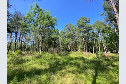 Lot 22 Pr 1313, Centerville, TX 75833 - Photo 43