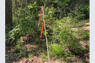 Lot 22 Pr 1313, Centerville, TX 75833 - Photo 27