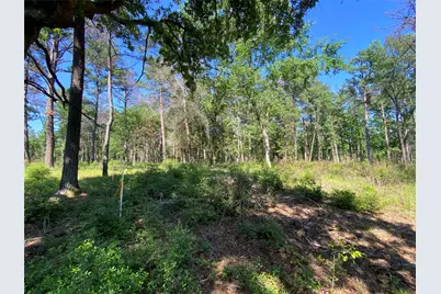Lot 22 Pr 1313, Centerville, TX 75833 - Photo 37