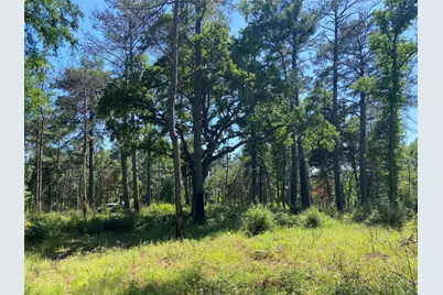Lot 22 Pr 1313, Centerville, TX 75833 - Photo 35