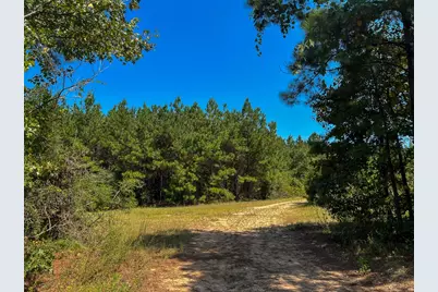 T-5 Fm 256, Woodville, TX 75979 - Photo 13