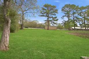 386 Pearl Thomas Rd, Livingston, TX 77351 - Photo 45