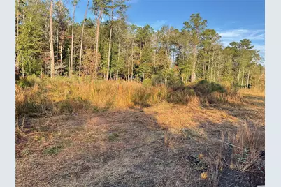 319 County Road 4050, Woodville, TX 75979 - Photo 11