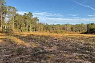 319 Co Rd 4050, Woodville, TX 75979 - Photo 1