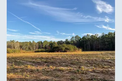 319 County Road 4050, Woodville, TX 75979 - Photo 13