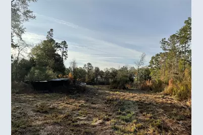 319 County Road 4050, Woodville, TX 75979 - Photo 15