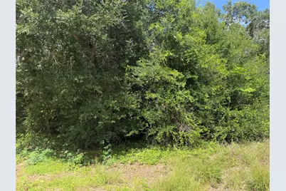 0 Cr 476, Blessing, TX 77419 - Photo 3