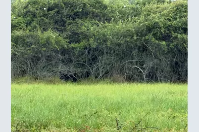 0 Cr 476, Blessing, TX 77419 - Photo 9