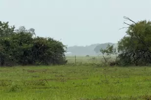 0 Cr 476, Blessing, TX 77419 - Photo 1