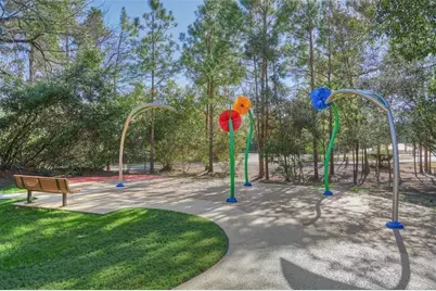 221 Sky Top Drive, Montgomery, TX 77316 - Photo 45