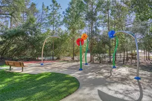 221 Sky Top Dr, Montgomery, TX 77316 - Photo 45