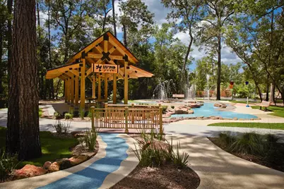 221 Sky Top Drive, Montgomery, TX 77316 - Photo 43