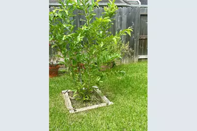 554 Ivy Cross Lane, Sugar Land, TX 77479 - Photo 35