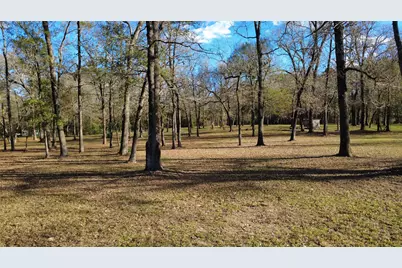 41111 Sandy Hill Road, Montgomery, TX 77316 - Photo 5