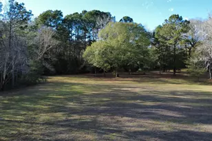 41111 Sandy Hill Rd, Montgomery, TX 77316 - Photo 7