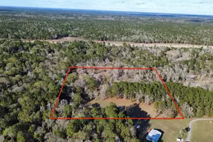 41111 Sandy Hill Rd, Montgomery, TX 77316 - Photo 1