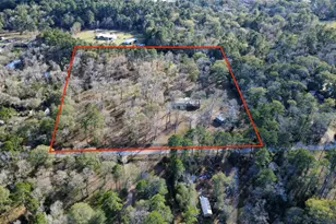 41111 Sandy Hill Rd, Montgomery, TX 77316 - Photo 3