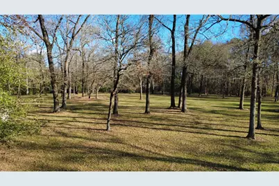 41111 Sandy Hill Road, Montgomery, TX 77316 - Photo 9