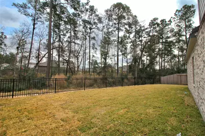 8511 Blueberry Ash Street, Magnolia, TX 77354 - Photo 5