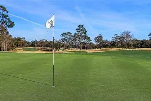 12906 Old Fashion Cir, Mont Belvieu, TX 77535 - Photo 35