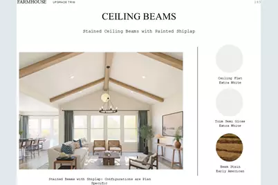 3201 Palm Heights Street, League City, TX 77573 - Photo 35