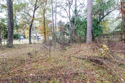 24510 Pine Canyon Dr, Spring, TX 77380 - Photo 7