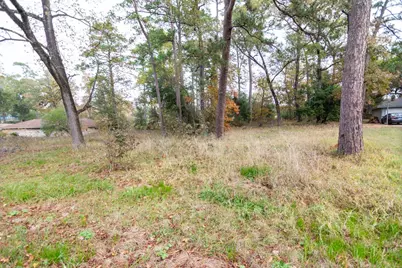 24510 Pine Canyon Dr, Spring, TX 77380 - Photo 5