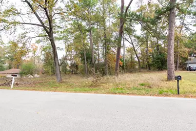 24510 Pine Canyon Dr, Spring, TX 77380 - Photo 3