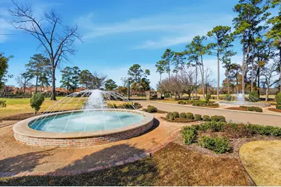 2818 Twin Fountains Drive, Houston, TX 77068 - Photo 11