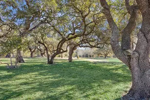 509 N Live Oak St, Round Top, TX 78954 - Photo 1