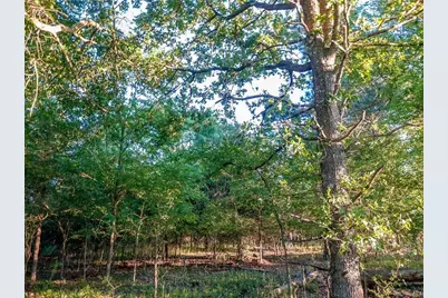 13744 Midway Drive, Willis, TX 77318 - Photo 5