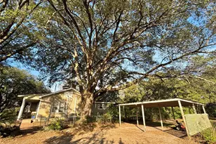 408 W Elder St, Colmesneil, TX 75938 - Photo 5