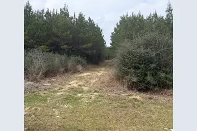 10489 US Highway 190 E, Livingston, TX 77351 - Photo 1
