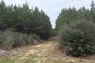 10489 US Hwy 190 E, Livingston, TX 77351 - Photo 1