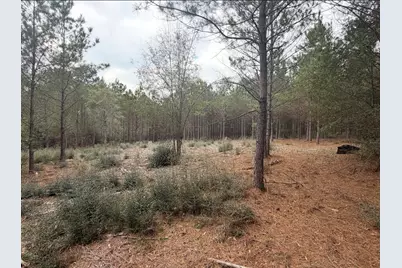 10489 US Highway 190 E, Livingston, TX 77351 - Photo 5