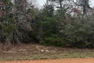 0 Coyote Run Ln, Carmine, TX 78932 - Photo 1