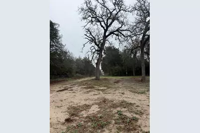 0 Coyote Run Lane, Carmine, TX 78932 - Photo 5