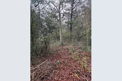 0 Coyote Run Lane, Carmine, TX 78932 - Photo 5