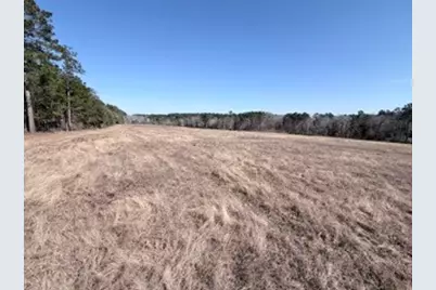 2878 Fm 256 N, Woodville, TX 75979 - Photo 35