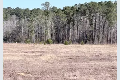 2878 Fm 256 N, Woodville, TX 75979 - Photo 33