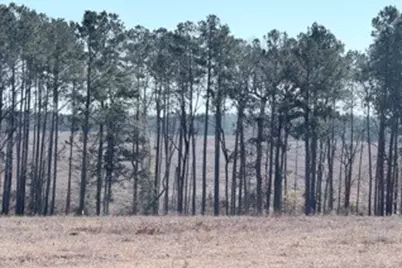 2878 Fm 256 N, Woodville, TX 75979 - Photo 31