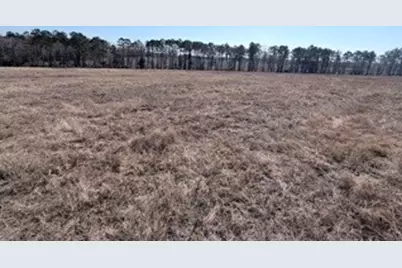 2878 Fm 256 N, Woodville, TX 75979 - Photo 37
