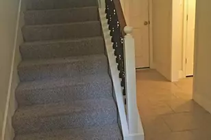 4100 Blossom St, Houston, TX 77007 - Photo 3